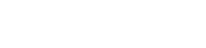 WitAsk